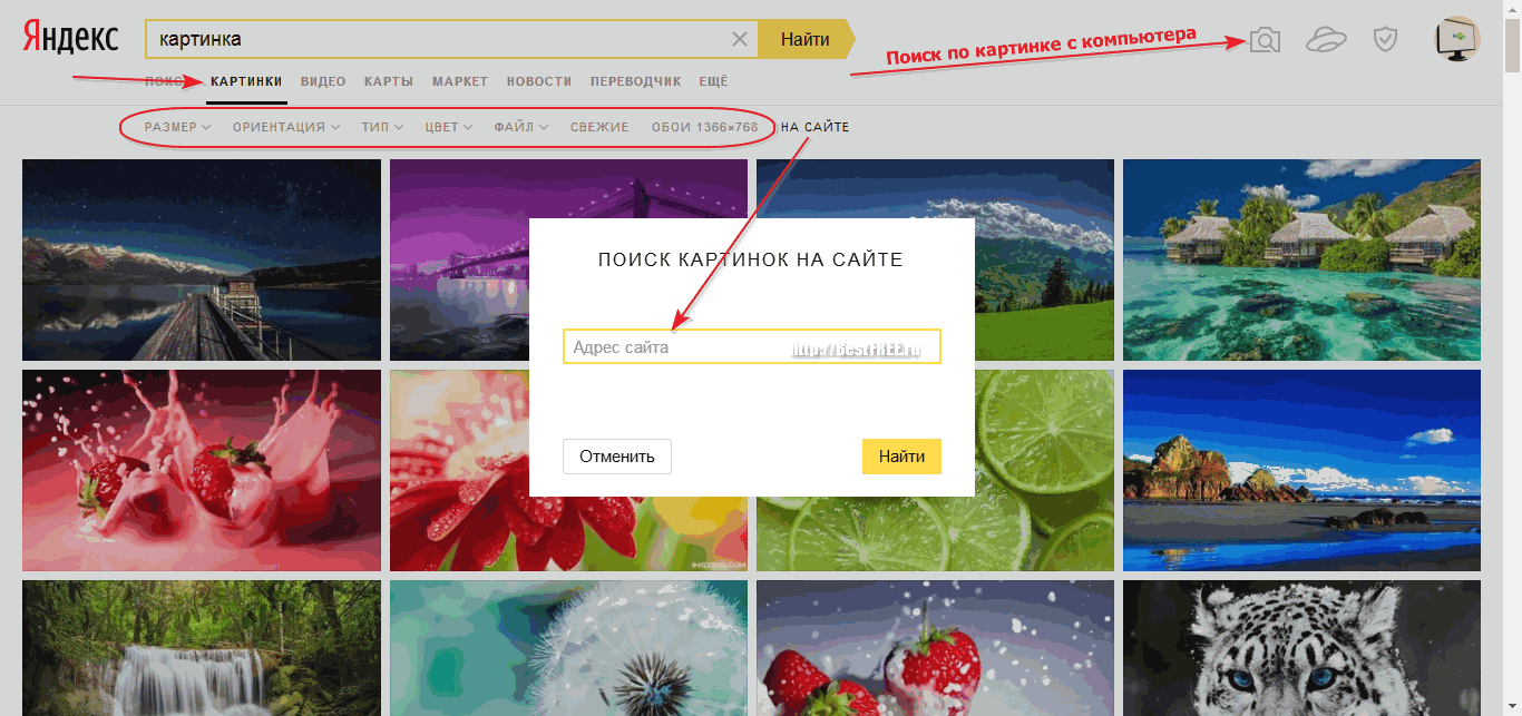 Сайт который ищет похожие картинки
